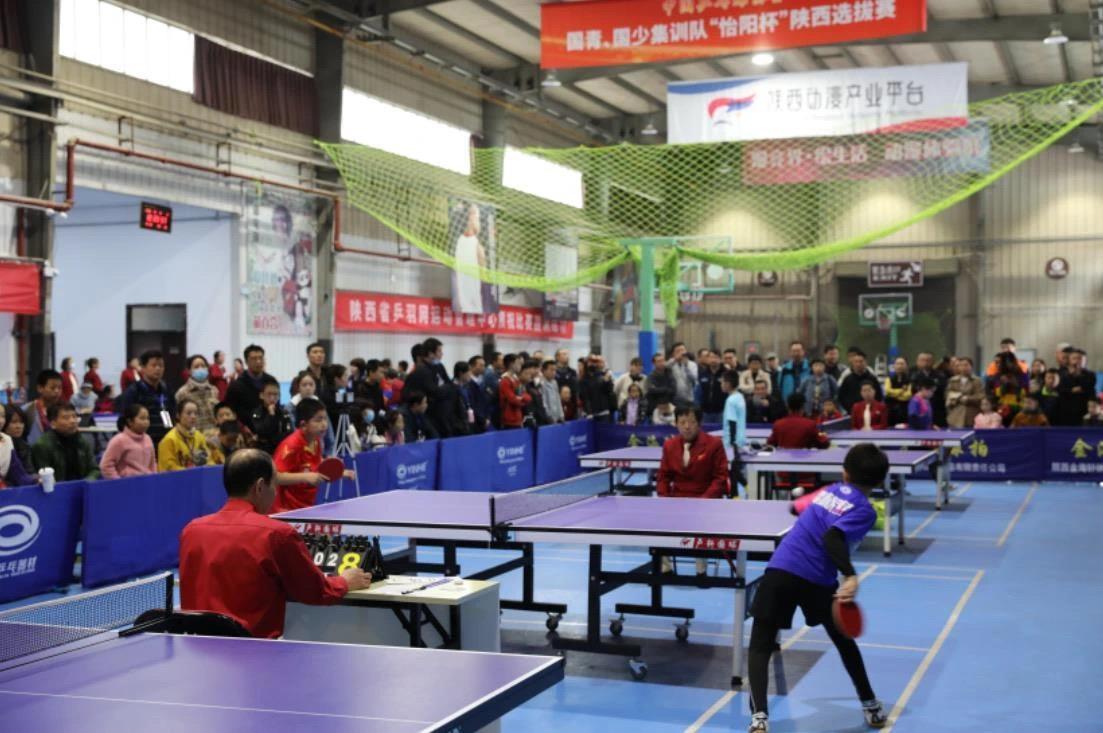 赛辟谣背后 赛辟谣背后